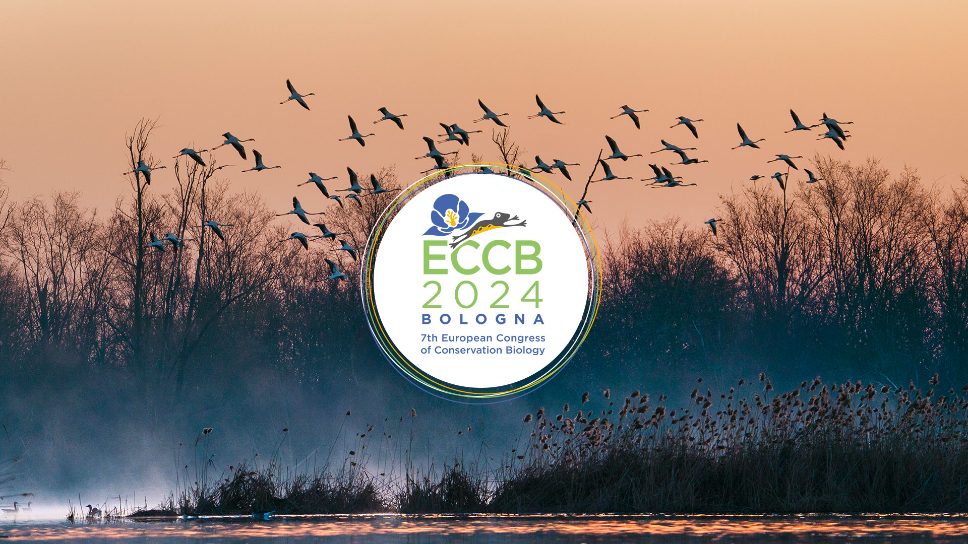 The banner of ECCB 2024
